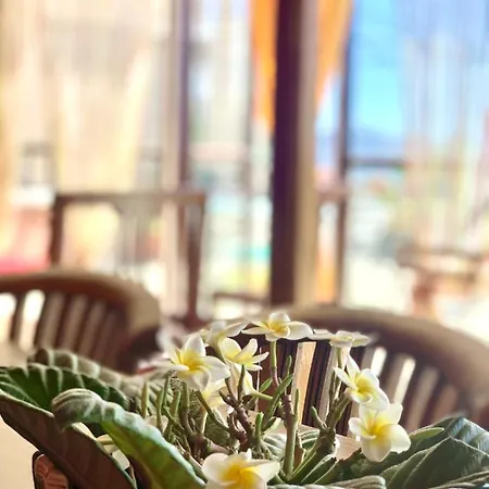 芬卡奇玛卡酒店