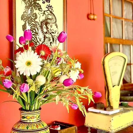 芬卡奇玛卡酒店 民宿