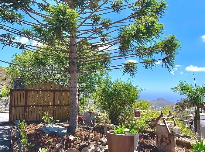 Chimaca * Arona (Tenerife)