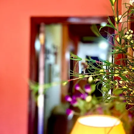 Chimaca ホームステイ アロナ