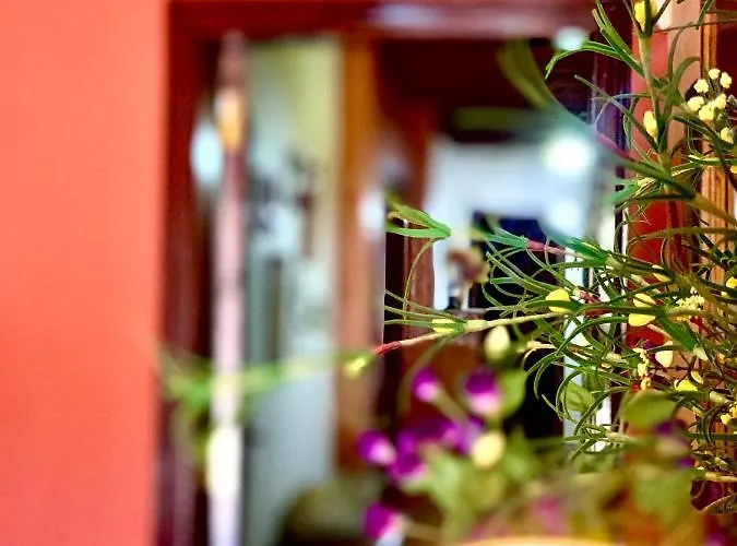 Chimaca Homestay szállás Arona